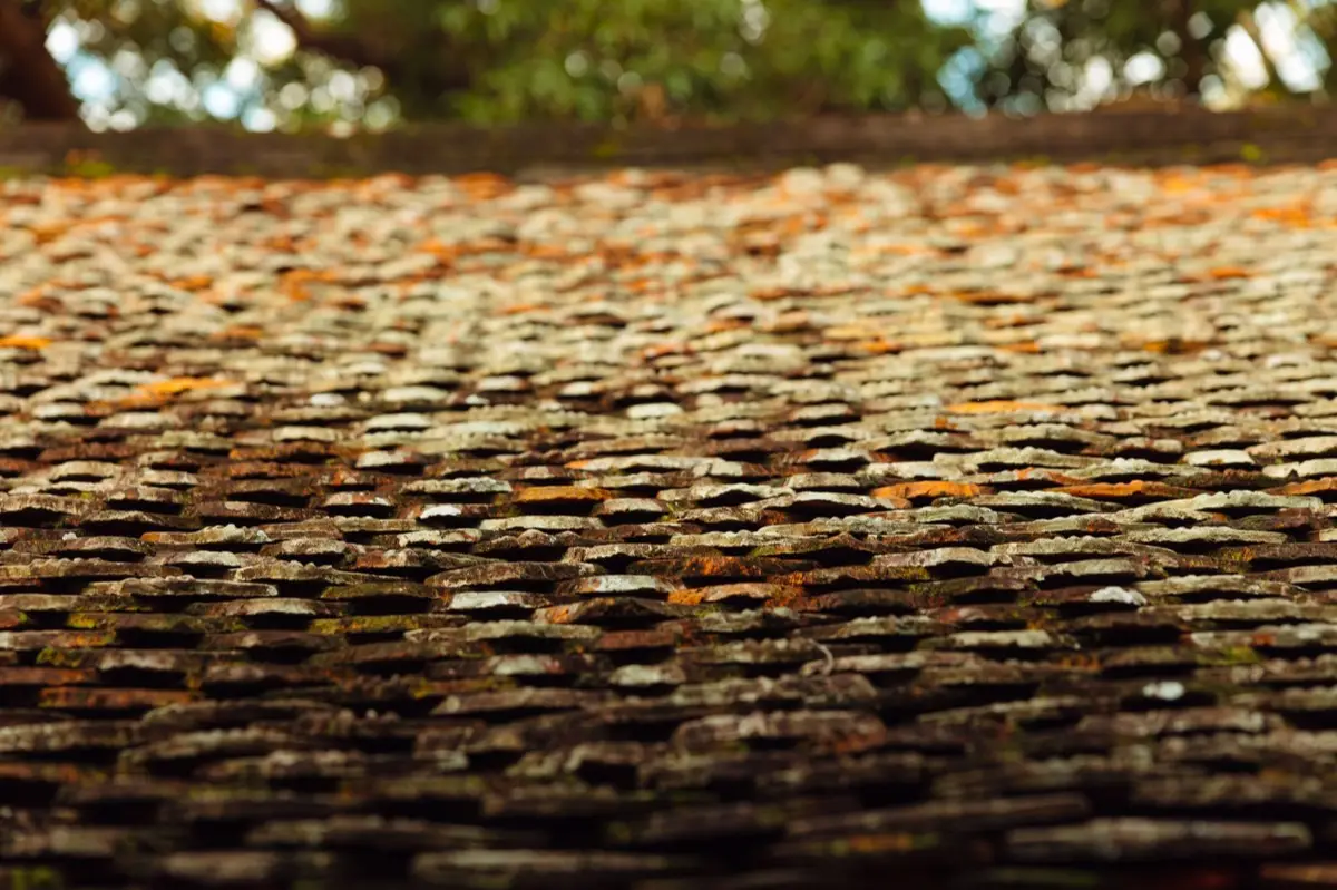 Aging shingle roof with moss growth and granule loss in Joplin, MO
